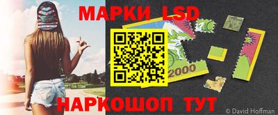 a pvp Можга