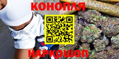 индика Малгобек