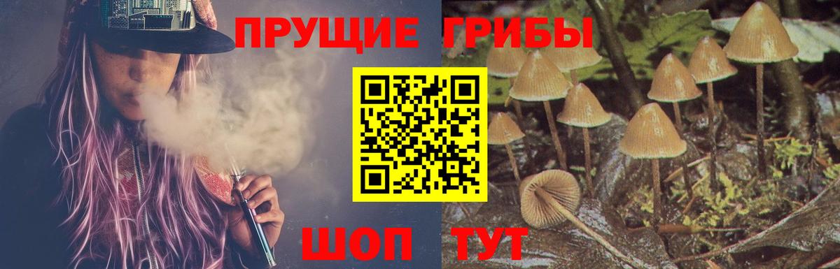Псилоцибиновые грибы мицелий  Вход с VPN  закладки  Строитель 